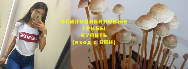 кристаллы Алзамай