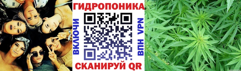 omg ONION  Апшеронск  Канабис индика 